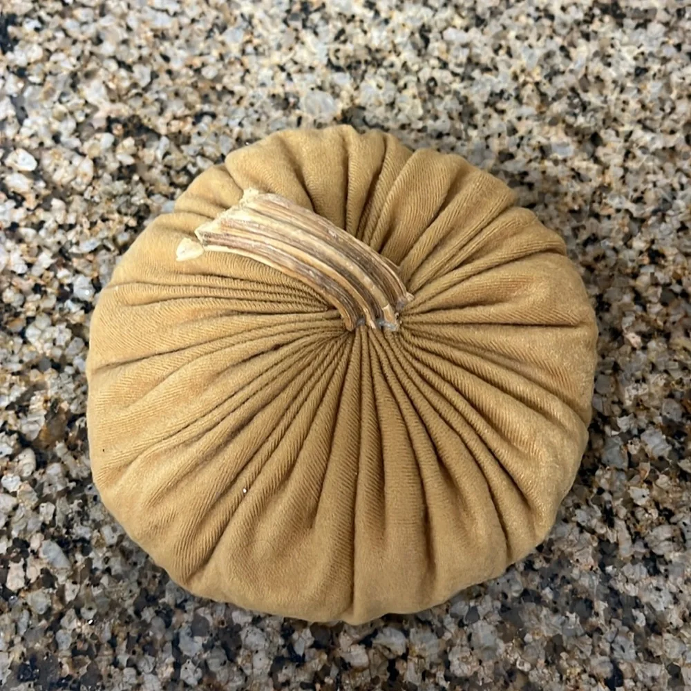 Fall Tan Pumpkin Decor